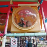 phoca_thumb_m_vp- 4. den  267 Fotogalerie